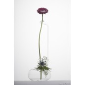 Zarafa Vase Vase Zarafa Wilfried Allyn Design Floral Art 90,00 €