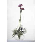 Zarafa Vase Vase Zarafa Wilfried Allyn Design Floral Art 90,00 €
