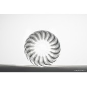 Spiral Tumblers (pack of 2) Gobelets vrillés Wilfried Allyn Design Tableware 95,00 €